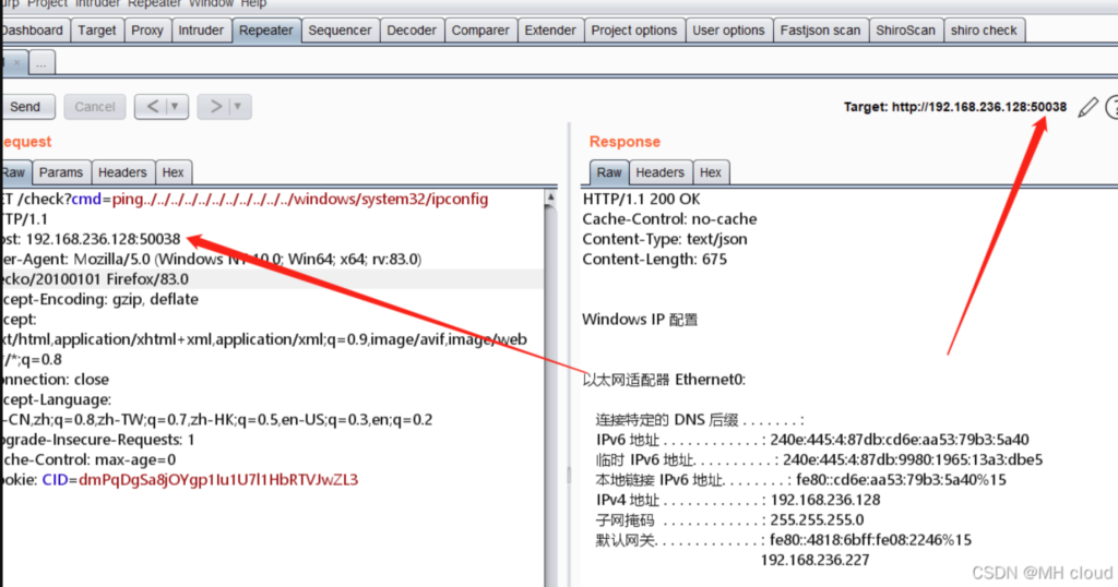 图片[6]-向日葵RCE命令执行（Windows ＜=11.0.0.33）-MHcloud-网络安全资源大全-文档库-漏洞库