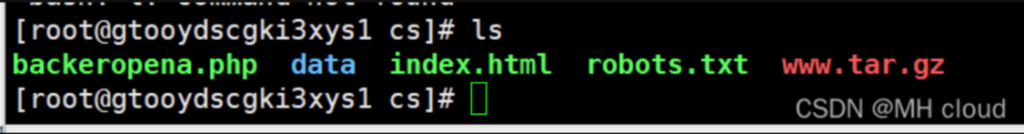 图片[4]-文件包含漏洞利用到绕过disable_function-MHcloud-网络安全资源大全-文档库-漏洞库
